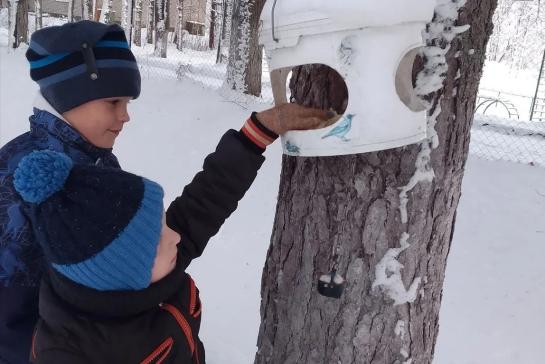 Покормите птиц зимой — фото-52_4