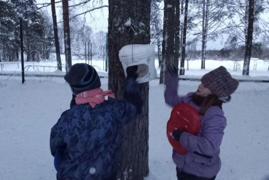 Покормите птиц зимой — фото-52_2