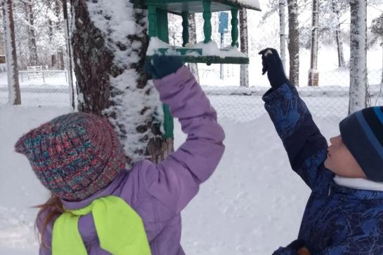 Покормите птиц зимой — фото-52_5