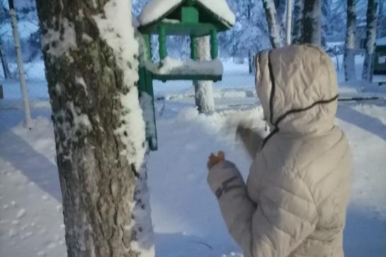 Покормите птиц зимой — фото-52_1