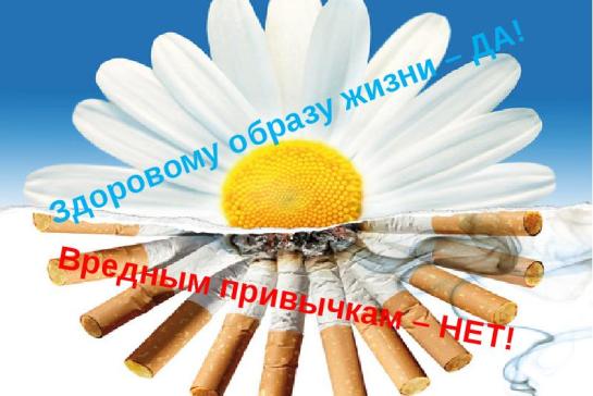 Профилактика табакокурения — фото-52_1