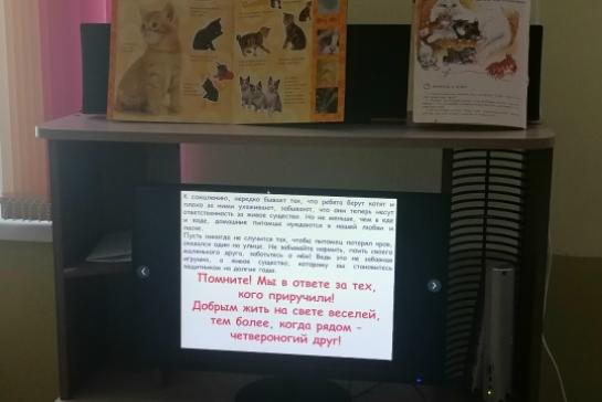 "Мягкие лапки, а в лапках царапки" — фото-52_2