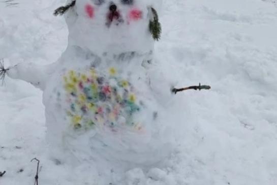 Парад снеговиков — фото-52_5