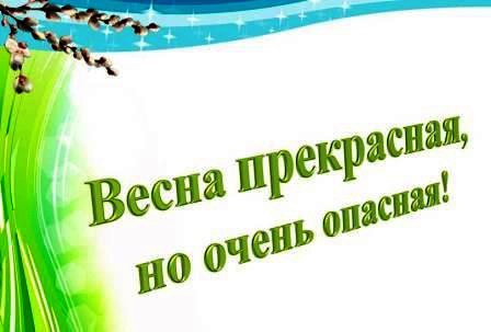 «Весна такая прекрасная, но бывает и опасная» — фото-52_1