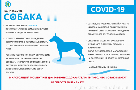 Защититись от гриппа, коронавируса и орви — фото-52_9