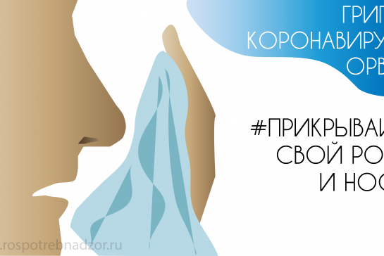 Защититись от гриппа, коронавируса и орви — фото-52_3