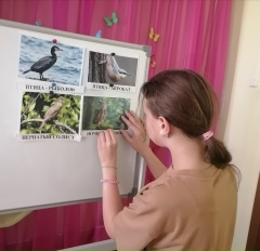 Международный день птиц — фото-52_4