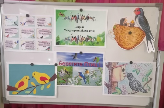Международный день птиц — фото-52_1