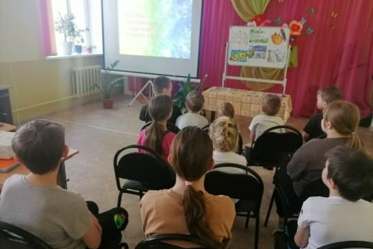 Международный день птиц — фото-52_2