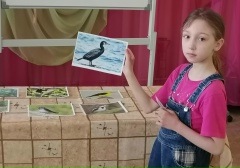 Международный день птиц — фото-52_3