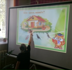 Международный день птиц — фото-52_5