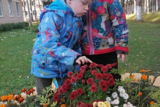 Осеннее вдохновение — фото-52_2