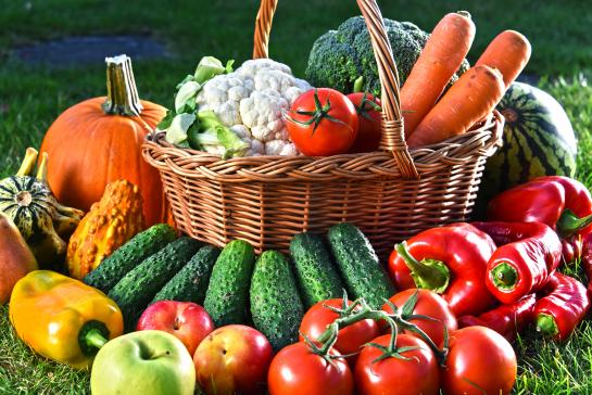 Овощная фантазия — фото-52_1